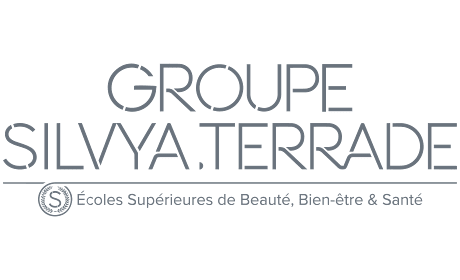 Logo client Groupe Silvya Terrade